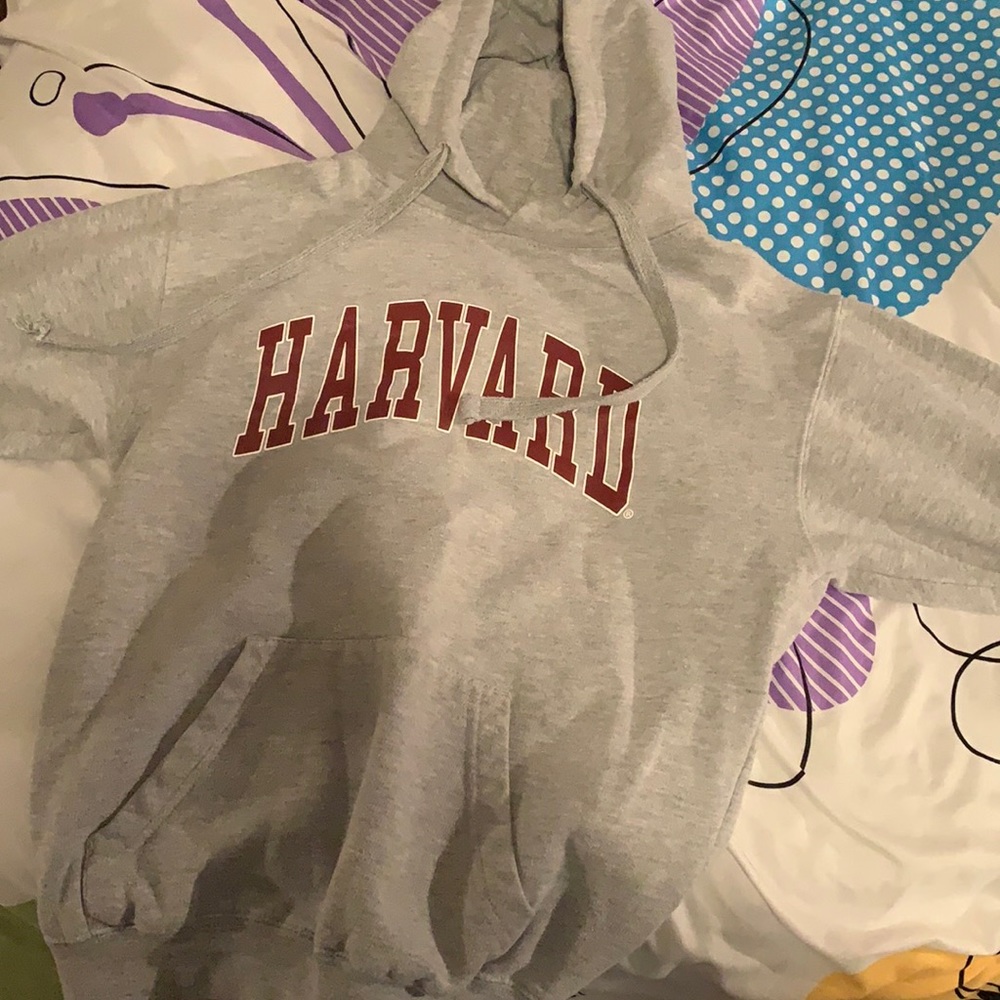 Grey Harvard hoodie